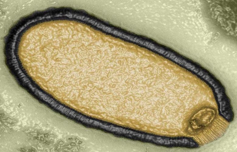 Najdeno v ameriških gozdovih