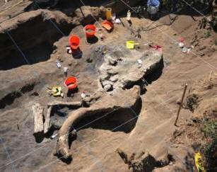 V Mehiki so našli ostanke odraslega mamuta.