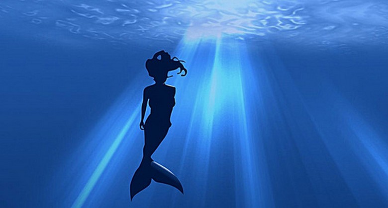 Na Norveškem so morsko deklico snemali na morju.