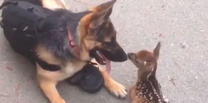 Mali čudeži se v naravi nenehno dogajajo.