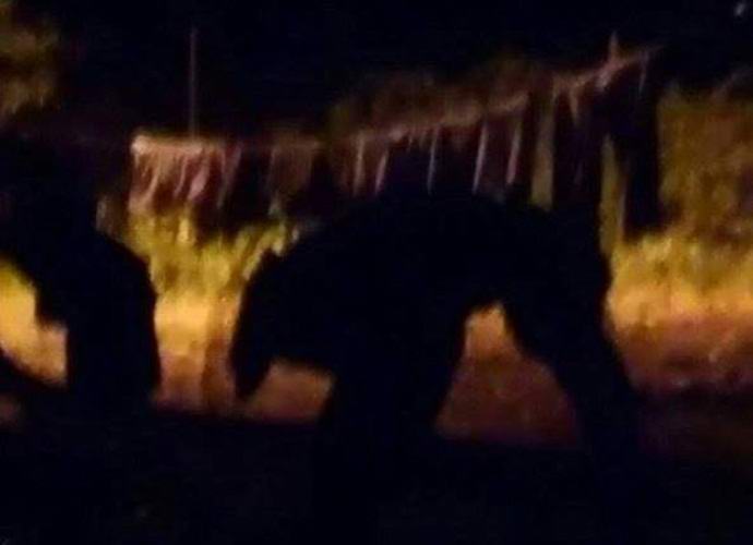 V Portoriku je ujela nerazumljivo pošast