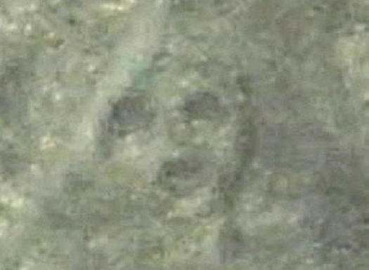 Portret na planoti Nazca.