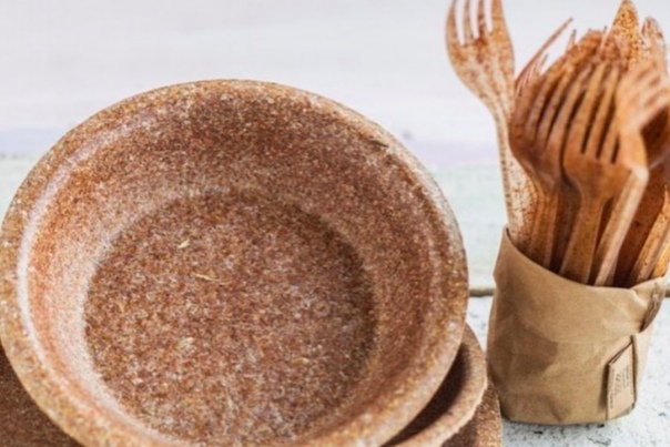 V Rusiji bodo proizvajali jedi iz užitnih rastlin.