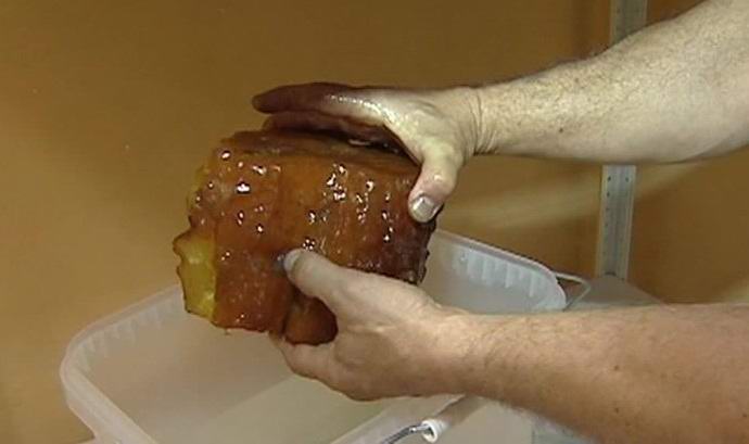 V Rusiji so našli ogromno jantarjevo koprivo