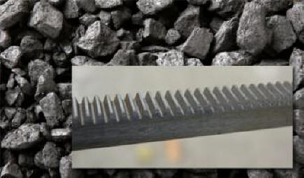 V Rusiji so odkrili tujec zobnikov, starih 300 milijonov let.