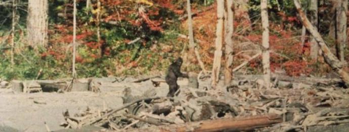 Okost snežaka se je pojavil v rokah znanstvenikov