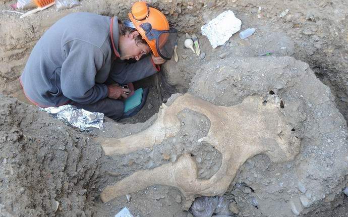 V ZDA so odkrili skrivnostno lobanjo