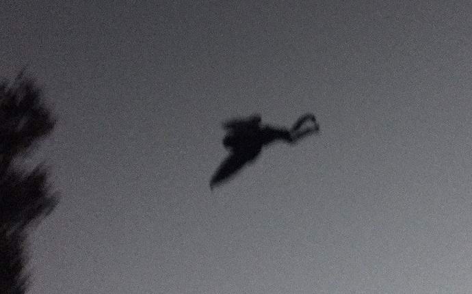 V ZDA so legendarni Moth Man spet fotografirali.