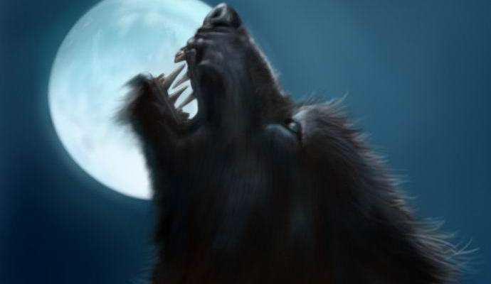 V Veliki Britaniji bo potekala mednarodna konferenca o volkodlakih.