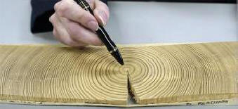 V VIII stoletju je Zemljo prizadel skrivnostni kozmični žarek.