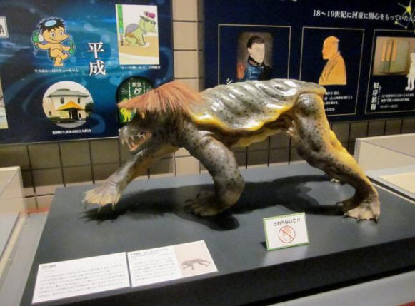 Na Japonskem bodo prikazani mumificirani ostanki japonske vodne rastline.