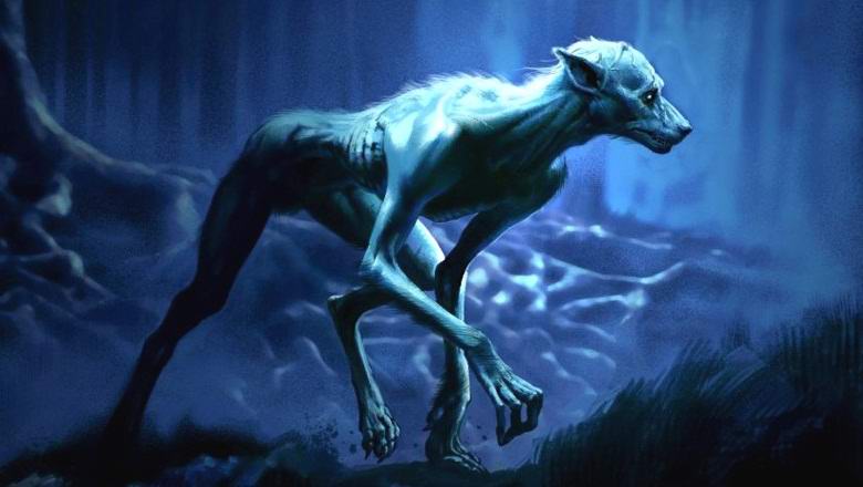 V Južni Afriki snemali legendarnega človeka-psa?