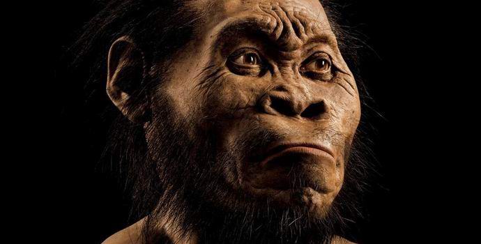 V Južni Afriki so našli novo vrsto primitivnega človeka.