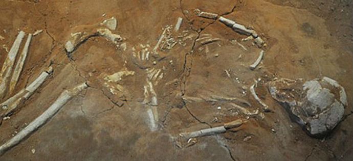 Vampiri še vedno živijo med nami.