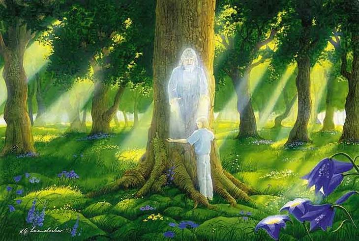 Veliki in brezplačni zdravilci - drevesa