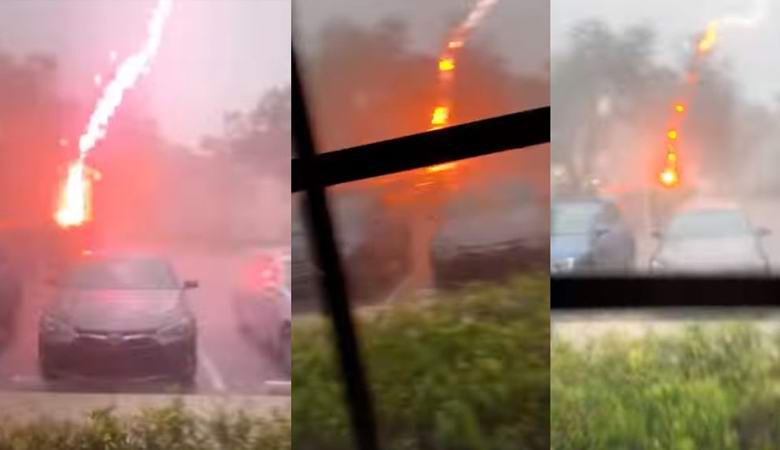 Zelo nenavadna strela je bila ujeta na Floridi.