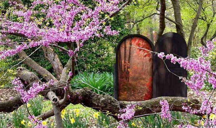 Vstop v vzporedni svet - za elito