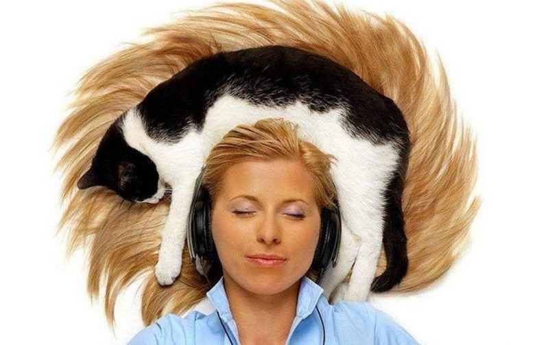 Video mačke s človeško glavo je povzročil široko odmev na internetu.