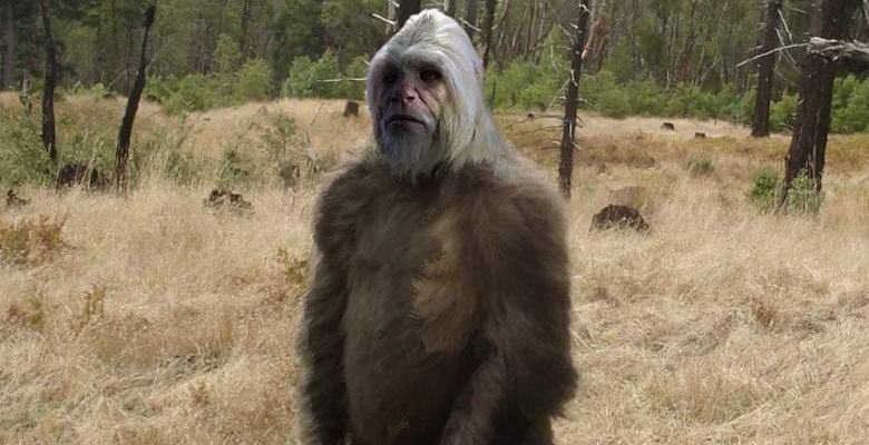 Videoposnetek z yetijem je sprožil burno razpravo v spletu.