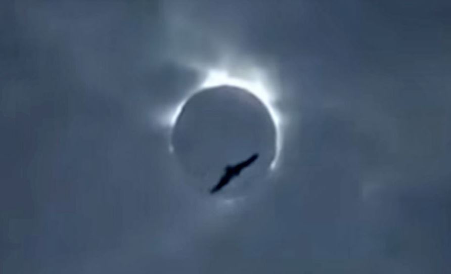 Video posnetek čudne anomalije: ufologi verjamejo, da je tako