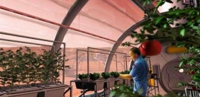 Gojite sadje in zelenjavo prav na marsovskih roverjih