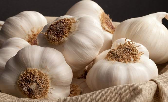 Okus česna je mogoče občutiti ... z nogami.