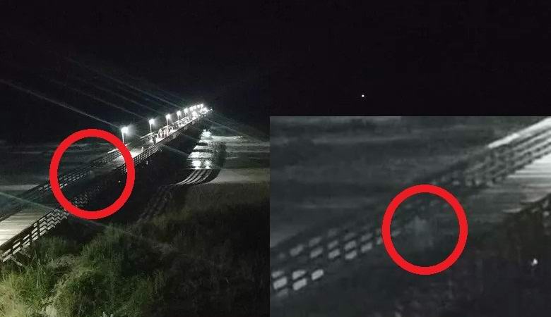 Ljubitelji so fotografirali srhljivo sivega moža