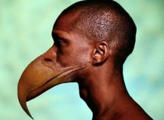 Namesto zob bodo ljudje imeli kljun.