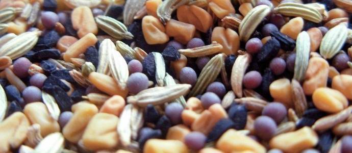 Vojna v Siriji je odvzela človeštvu seme v primeru apokalipse.