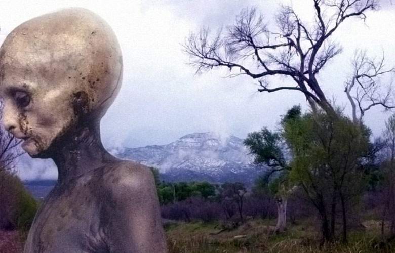 Obnovljena fotografija s tujcem, ki so jo s spleta izbrisale posebne storitve.