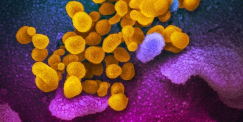 KDO: Vsaj 70 možnosti cepiva proti koronavirusu je že v razvoju 