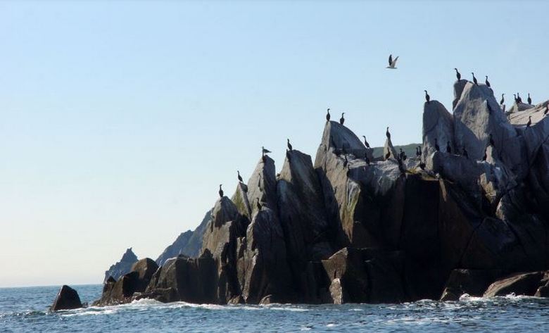 V bližini Magadana je otok nesporazuma.
