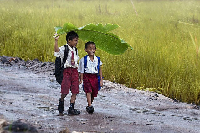 1sthalf1306 impresivne fotografije prve polovice leta 2013