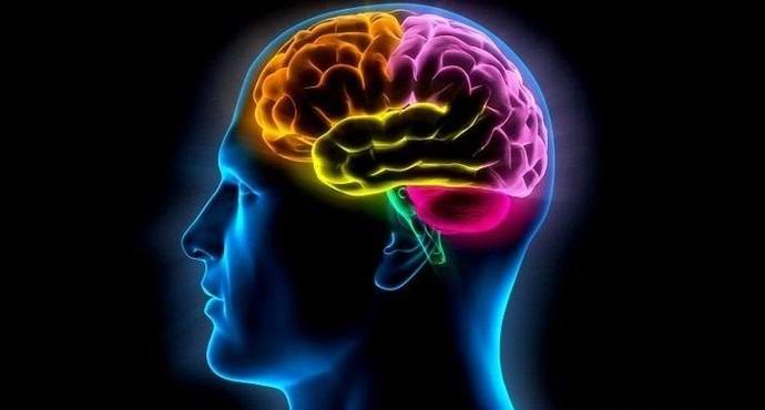 Sezona vpliva na naše miselne sposobnosti.