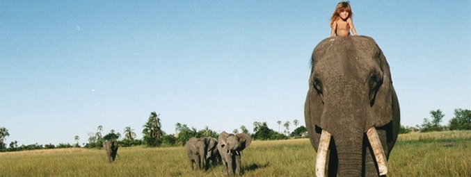 Vsi jeziki sveta so polni pozitivnega.