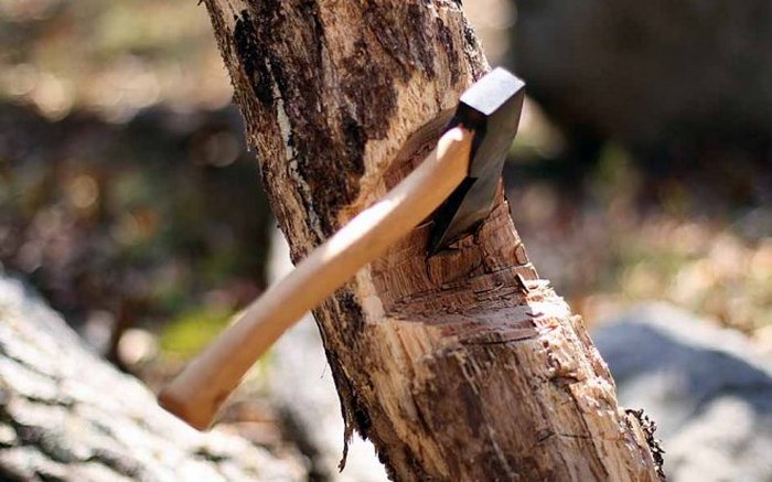 Mistična Yakutia: Nevidni sostanovalec