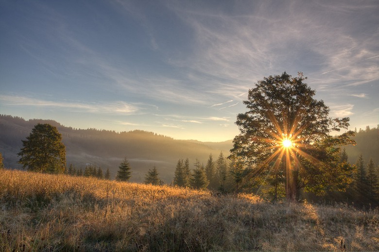 Japonski znanstveniki pravijo: hitrost in globina pomnjenja informacij sta odvisna od časa dneva.
