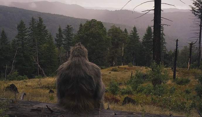 Za ujetje snežnega človeka je obljubil milijon dolarjev