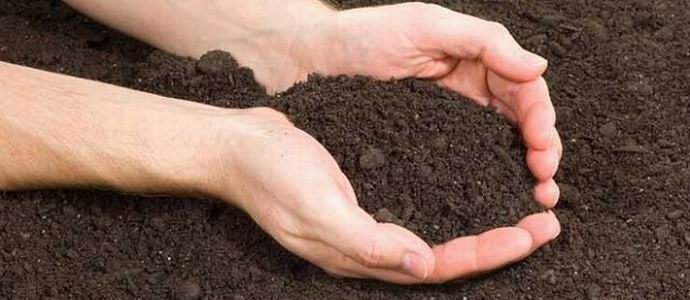 Zakaj vesoljci kradejo zemljo pred zemljani.