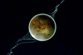 Zakaj je Zemlja ugrabila Luno z Venere?