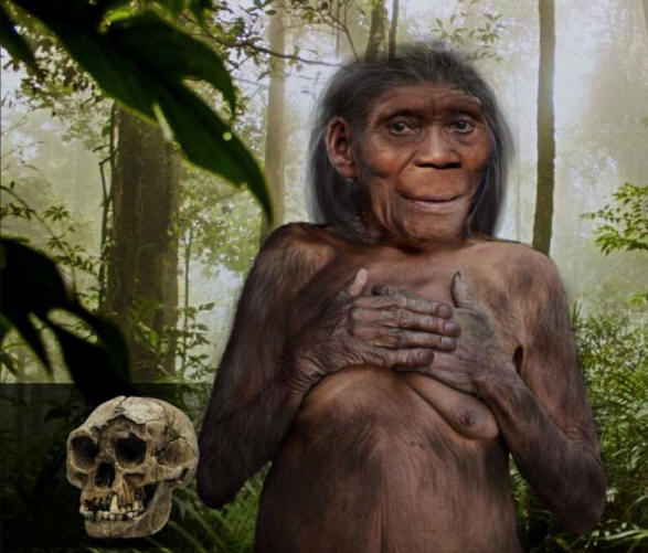 Uganka prazgodovinskih florezijskih palčkov