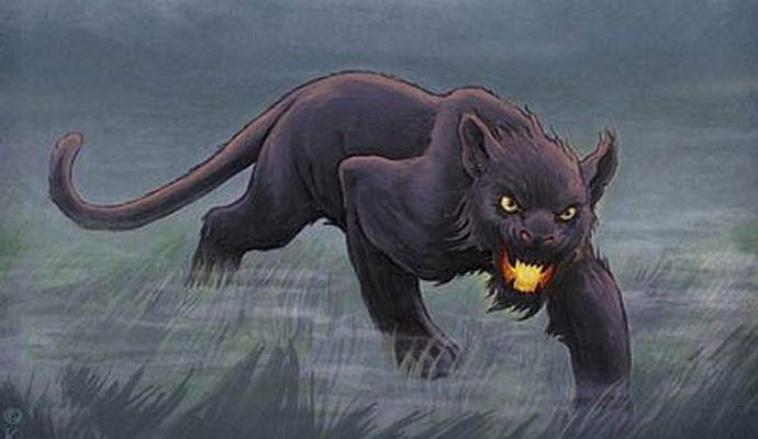 Skrivnost skrivnostne Bodmin zveri je razrešena?