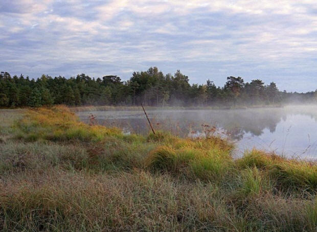 Skrivnosti preteklega stoletja, zanimivo, zgodovina