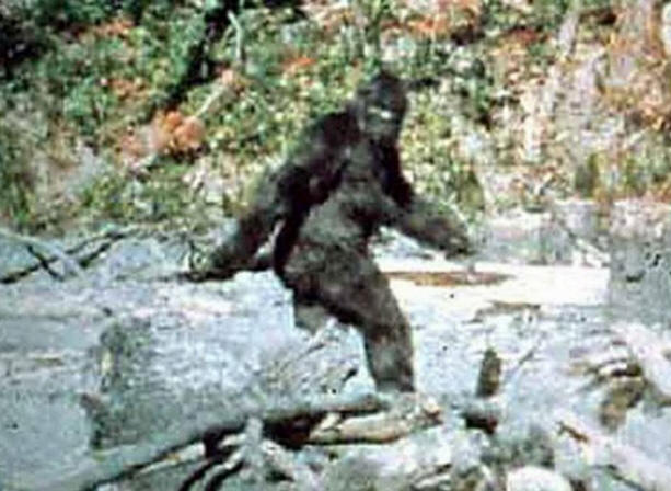 Skrivnosti preteklega stoletja, zanimivo, zgodovina