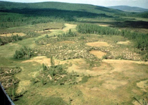 Skrivnosti preteklega stoletja, zanimivo, zgodovina