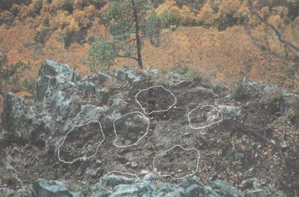 Skrivnosti preteklega stoletja, zanimivo, zgodovina