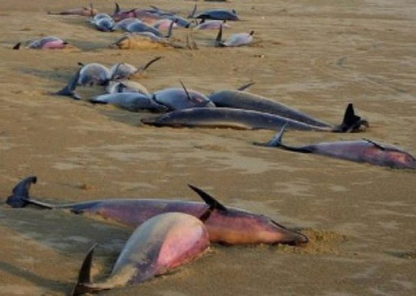 Skrivnosti preteklega stoletja, zanimivo, zgodovina