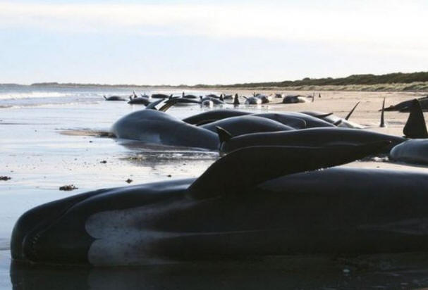 Skrivnosti preteklega stoletja, zanimivo, zgodovina