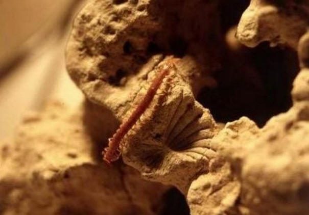 Skrivnosti preteklega stoletja, zanimivo, zgodovina