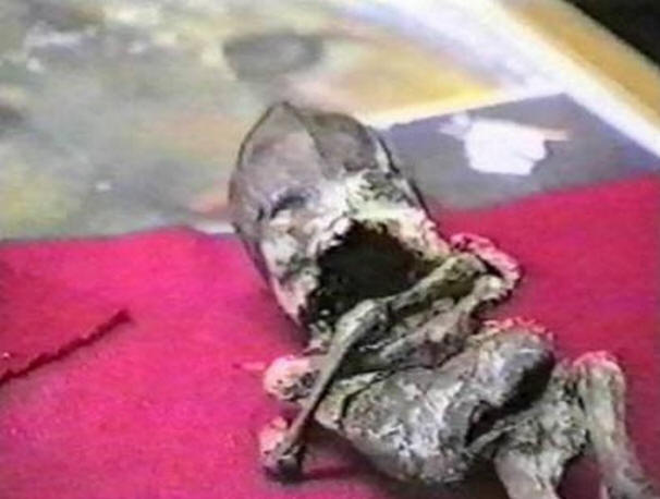 Skrivnosti preteklega stoletja, zanimivo, zgodovina